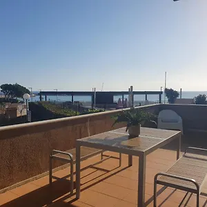 Flamingo L'Ampolla